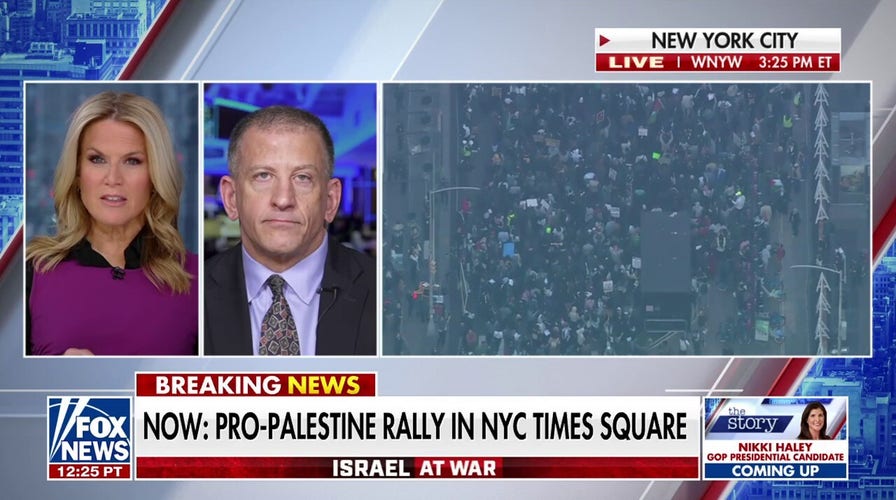 Free, peaceful protests are possible in the democratic US: Dan Hoffman