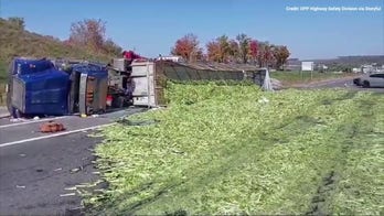WATCH IT: Traffic backed up on highway after celery truck spills contents on road