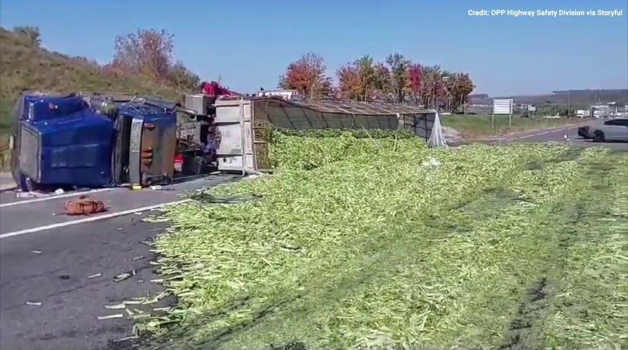 WATCH IT: Traffic backed up on highway after celery truck spills contents on road