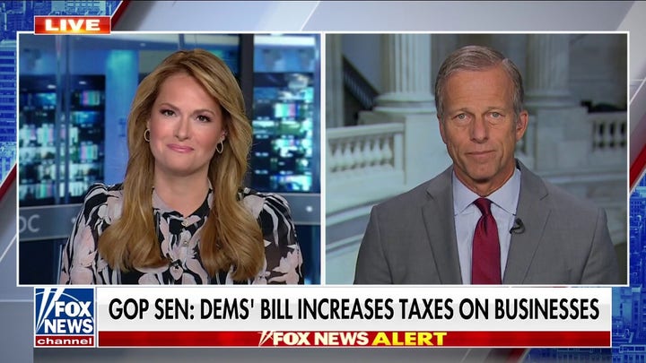 Sen. Thune slams Inflation Reduction Act: Democrats need to realize this is a 'really bad bill'