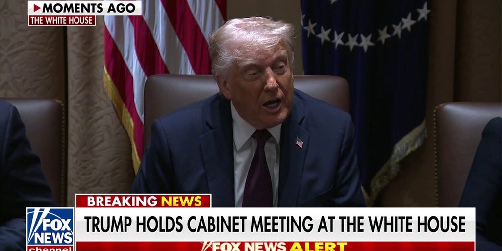 Trump calls out as 'pure fraud' in government waste as Elon Musk is thanked for DOGE