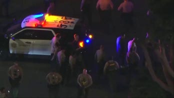 Protesters gather outside restaurant after reportedly mistaking TSA officers for ICE agents