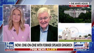 Newt Gingrich: The Constitution works