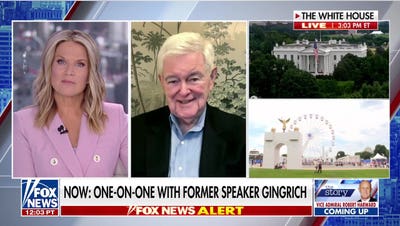 Newt Gingrich: The Constitution works - Fox News