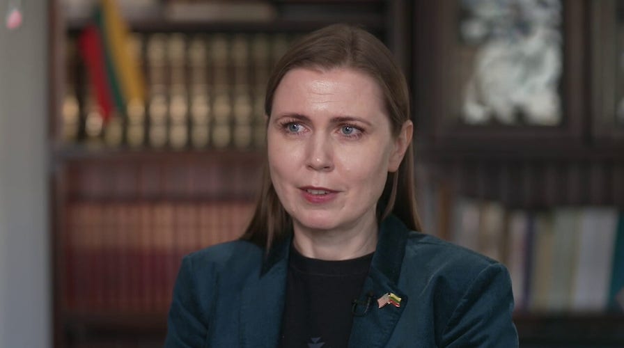 Negotiate with Russia with 'gun on the table,' Lithuanian defense minister says