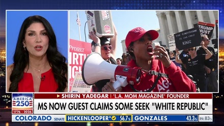 Birthright citizenship debate is about stopping 'anti-American activists': LA Mom Magazine founder