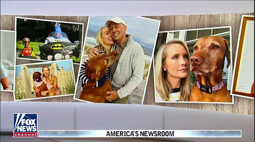 Dana Perino: Goodbye, Jasper | Fox News