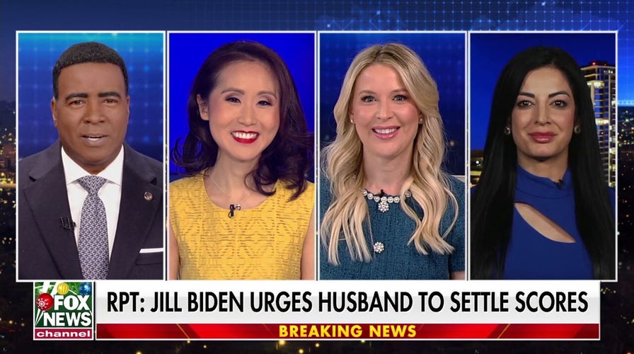 Biden is in ‘no shape’ to carry out presidential duties, says DNC Mid-Atlantic regional chair