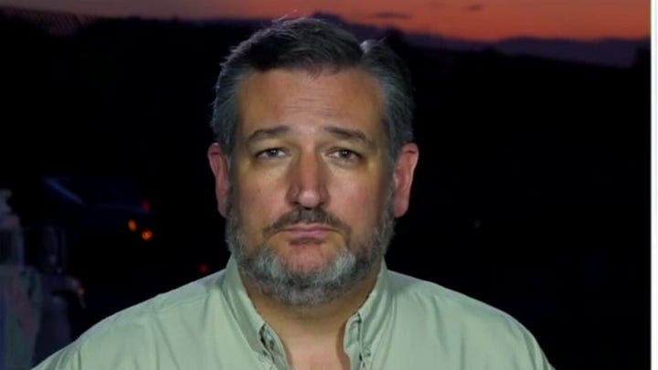 Sen. Ted Cruz blasts the FAA for blocking drone footage at ‘horrific’ Texas border