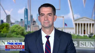 Israel doing well despite Biden admin ‘constraints’: Tom Cotton - Fox News