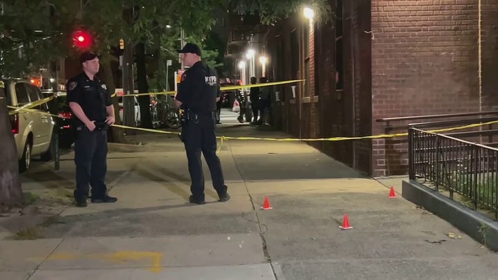 Girl, 17, shot and killed outside of her Brooklyn apartment building.