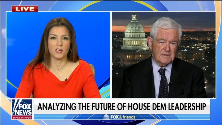 Gingrich: The Democrats have real problems because they went too far to the left