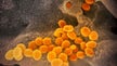 Collaboration key in stopping coronavirus from becoming global pandemic: expert