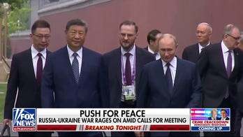 President Trump accuses Xi Jinping of conspiring against the US