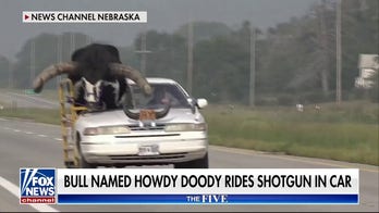 'The Five': Holy cow!