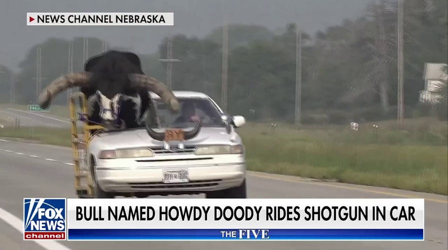 'The Five': Holy cow!