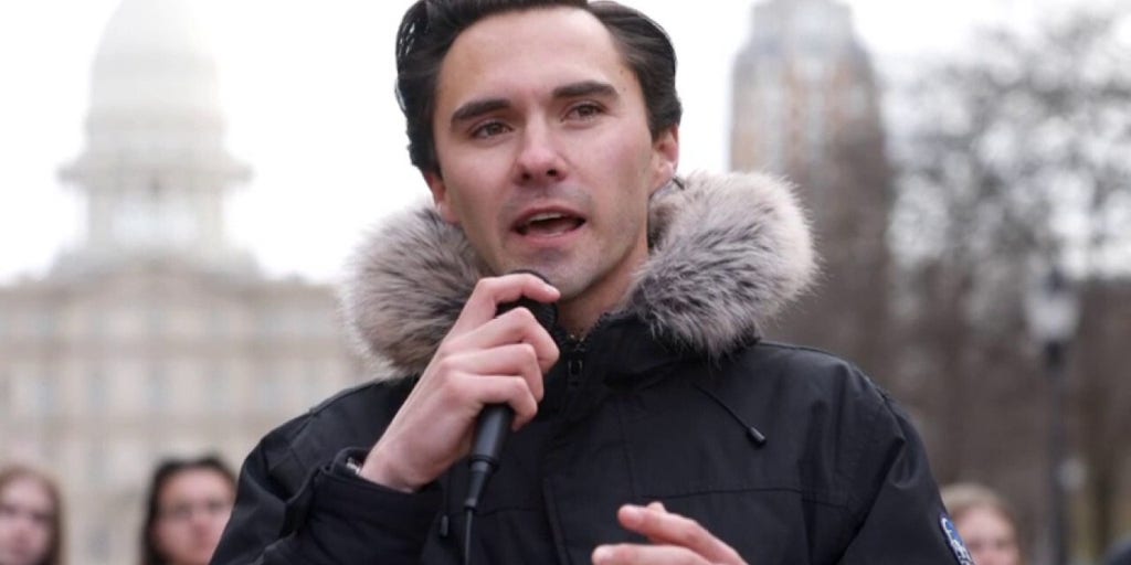 'Unprecedented': DNC Vice Chair David Hogg looks to take down fellow Dems