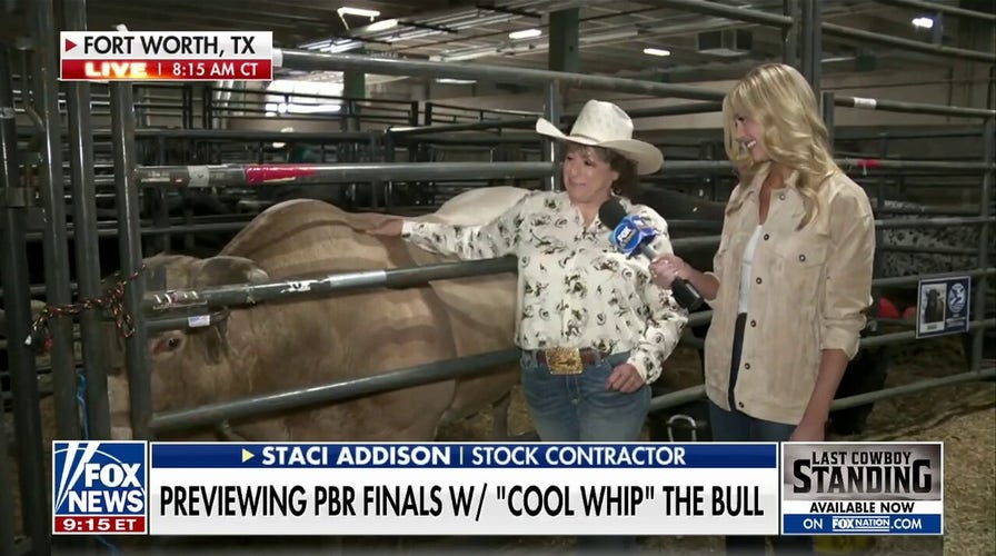 Abby Hornacek meets ‘Cool Whip’ the bull as he prepares for the Professional Bull Riding finals