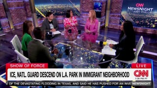Ex-MSNBC host accuses Trump administration of 'kidnapping' people and 'transporting them to concentration camps’