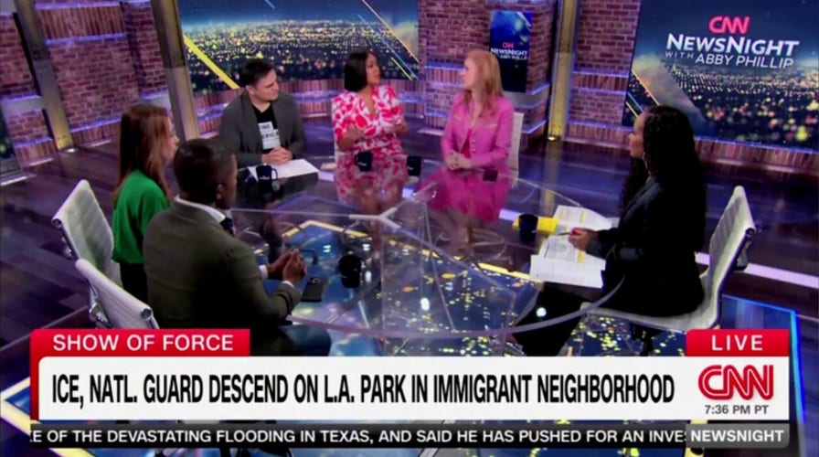 Ex-MSNBC host accuses Trump administration of 'kidnapping' people and 'transporting them to concentration camps’