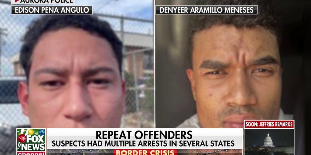 Suspected criminal migrants involved in gang swept in law enforcement stings