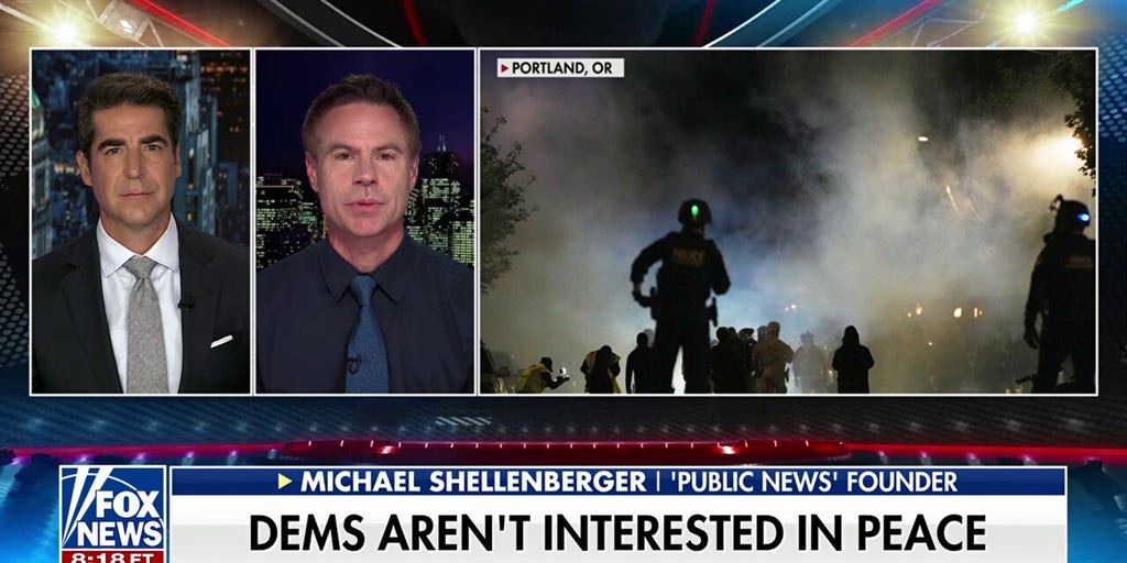 The Left has a 'radicalization problem': Michael Shellenberger