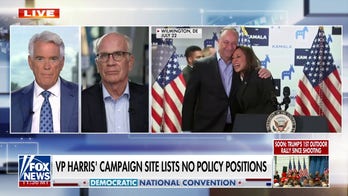 Democrat senator says Harris campaign will need to address the issue of affordability