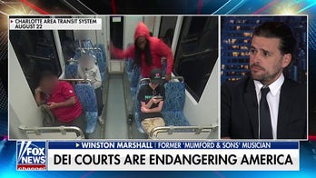 Ex- Mumford & Sons guitarist explains why DEI is 'two-tiered'