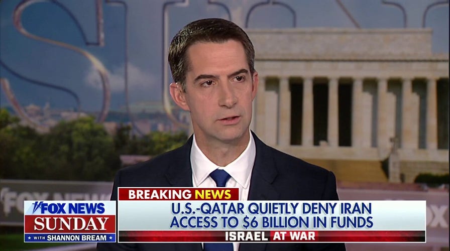 Sen. Tom Cotton: Biden invited foreign conflicts by 'tempting' US's enemies with 'weakness and concessions'