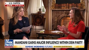 Rep McClain discusses Democratic socialists' rise in primaries