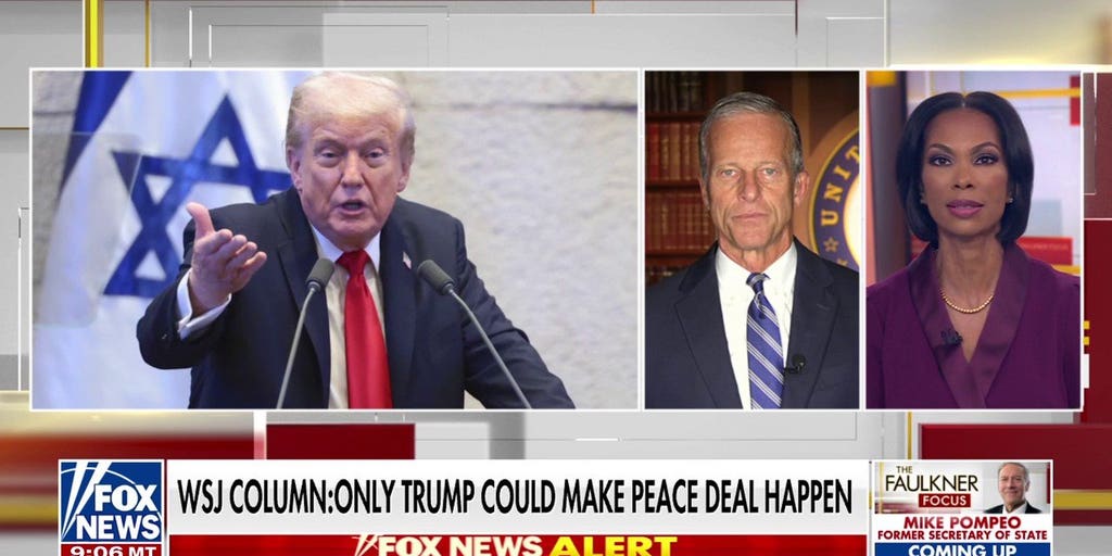 Sen. Thune blasts Dems for stalling shutdown deal: 'This needs to stop ...