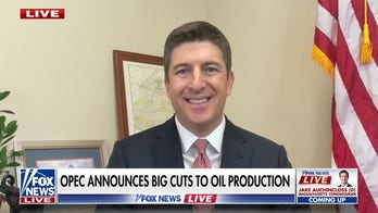 Biden administration wants to ‘ignore’ all the warning signs of a struggling economy: Rep. Bryan Steil 