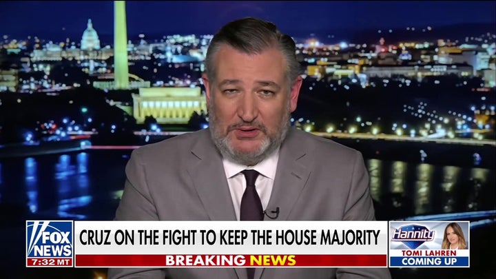 Sen Ted Cruz: Democrats will do anything to stay in power