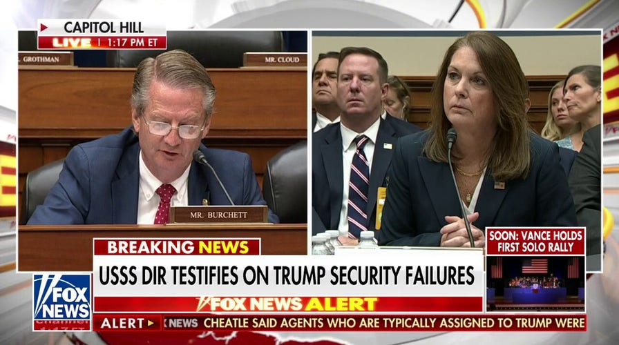 Secret Service Director Cheatle grilled over Trump shooting security failures: 'You are a DEI horror story'