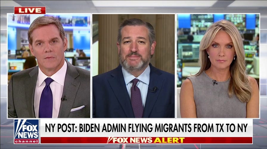 Ted Cruz on migrant crisis: Biden’s cages ‘bigger,’ ‘more full’ than ever