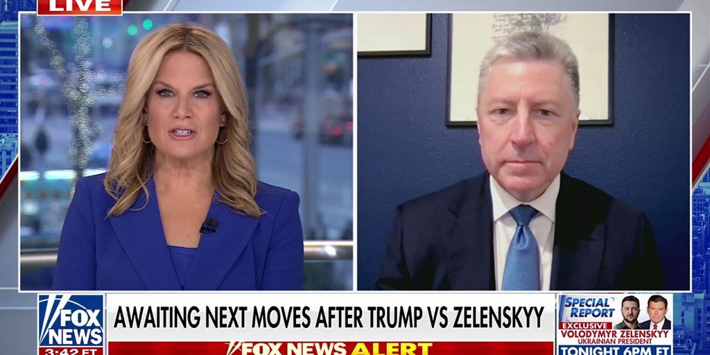 Zelenskyy committed a 'terrible, unforced error,' former US ambassador says