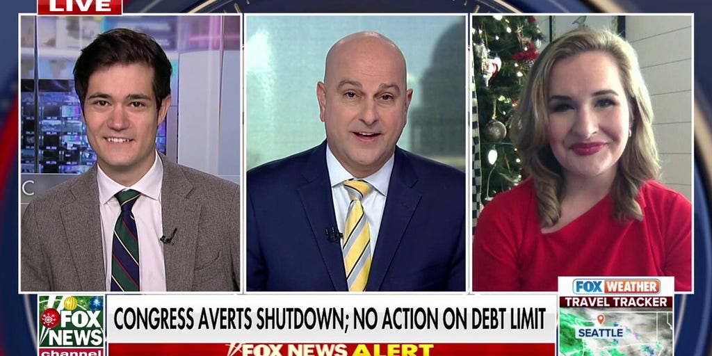Congress’ Christmas ‘chaos’ was a ‘dress rehearsal’ for 2025, reporter predicts