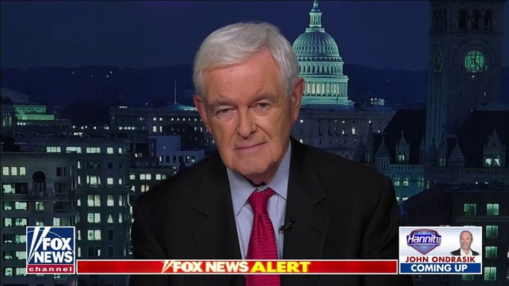 Newt Gingrich: Americans tired of being browbeaten by radicals