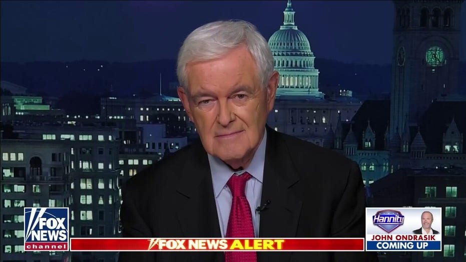 Newt Gingrich: Big Government Socialism isn’t ‘free’ – all programs taxpayer-funded, meaning YOU pay for them