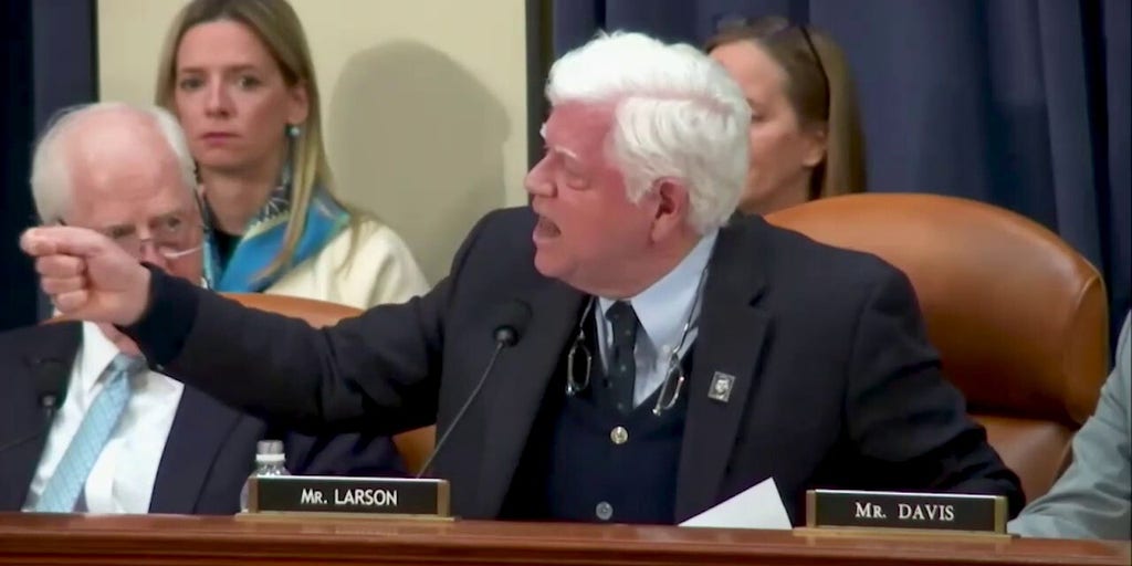 House Dem goes on screaming rant against Elon Musk, DOGE