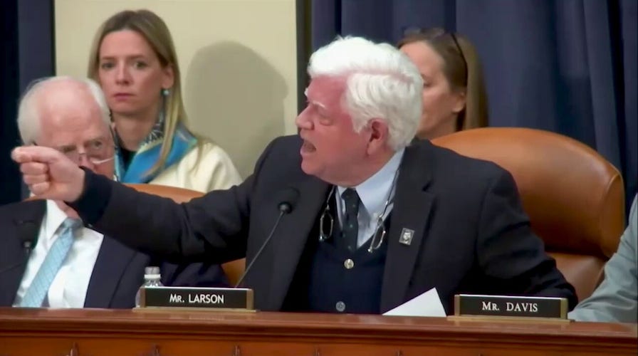 House Dem goes on screaming rant against Elon Musk, DOGE: ‘Shame!’