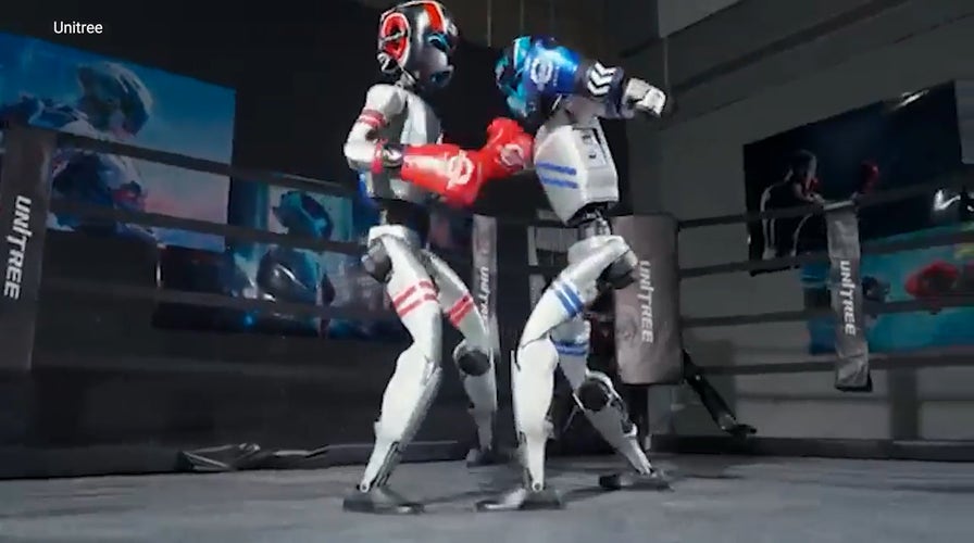 Robots step into the ring for the first-ever boxing match