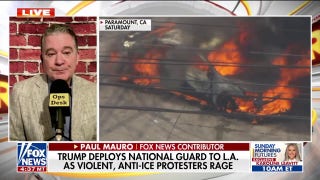 National guard deployed by Trump in LA as protesters clash with ICE