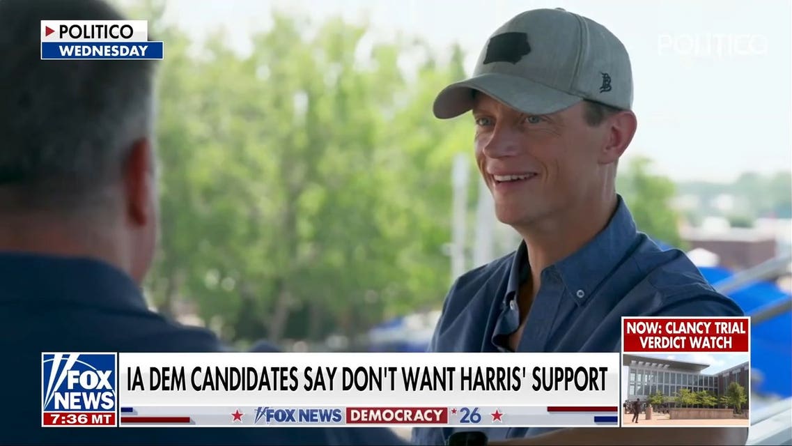 Democrats reject help from Kamala Harris without skipping a beat
