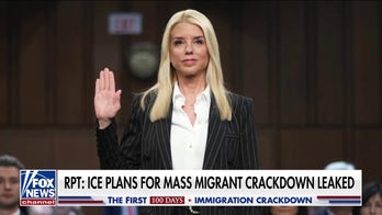 ICE plans for next mass migrant crackdown reportedly leaked