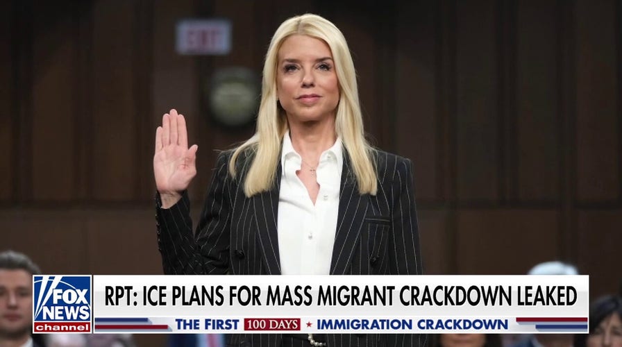 ICE plans for next mass migrant crackdown reportedly leaked