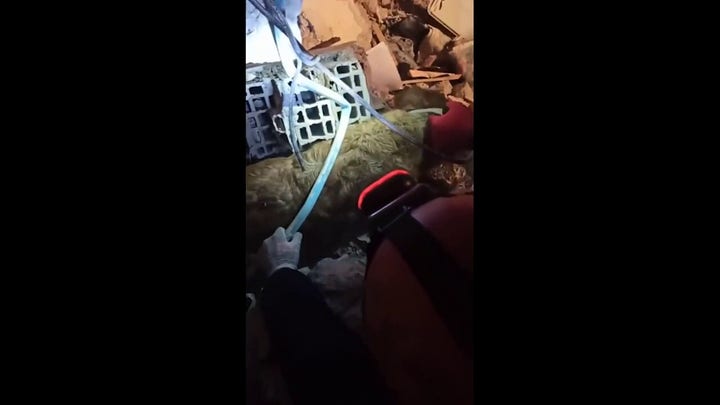 Dog pulled alive from rubble 5 days after Turkey earthquake