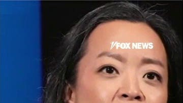 Wisconsin Dem Francesca Hong slammed over resurfaced ‘cancel Thanksgiving’ post