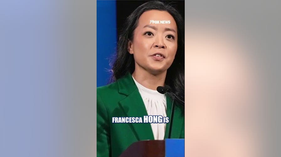 Wisconsin Dem Francesca Hong slammed over resurfaced ‘cancel Thanksgiving’ post