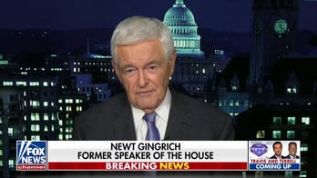 This is what Republicans need to do to win back the Senate: Gingrich
